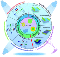 Graphical abstract: Recent advances in optical and optoelectronic data storage based on luminescent nanomaterials