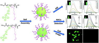 Graphical abstract: TPE-containing amphiphilic block copolymers: synthesis and application in the detection of nitroaromatic pollutants