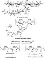 Graphical abstract: Xanthan gum derivatives: review of synthesis, properties and diverse applications