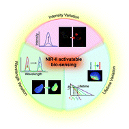 Graphical abstract: Activatable fluorescence sensors for in vivo bio-detection in the second near-infrared window