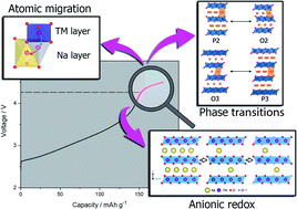 Graphical abstract: Probing the charged state of layered positive electrodes in sodium-ion batteries: reaction pathways, stability and opportunities