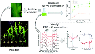 Graphical abstract: Diffuse reflectance infrared Fourier transform spectroscopy for a qualitative evaluation of plant leaf pigment extraction