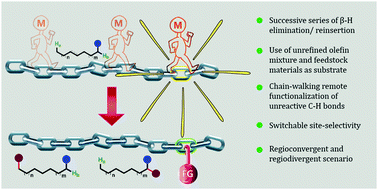 Graphical abstract: Chain-walking reactions of transition metals for remote C–H bond functionalization of olefinic substrates