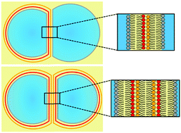 Graphical abstract: Layer-by-layer assembly of multi-layered droplet interface bilayers (multi-DIBs)