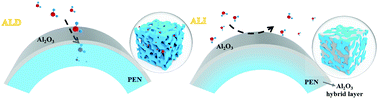 Graphical abstract: Highly-stable PEN as a gas-barrier substrate for flexible displays via atomic layer infiltration