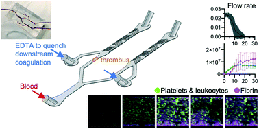 Graphical abstract: An “occlusive thrombosis-on-a-chip” microfluidic device for investigating the effect of anti-thrombotic drugs