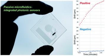 Graphical abstract: Disposable photonics for cost-effective clinical bioassays: application to COVID-19 antibody testing