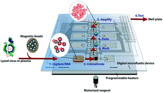 Graphical abstract: Portable sample processing for molecular assays: application to Zika virus diagnostics