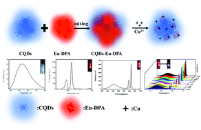 Graphical abstract: Eu3+-functionalized CQD hybrid material: synthesis, luminescence properties and sensing application for the detection of Cu2+