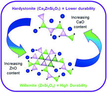 Graphical abstract: Chemical structure and dissolution behaviour of CaO and ZnO containing alkali-borosilicate glass