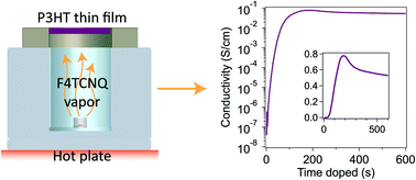 Graphical abstract: Probing the evolution of conductivity and structural changes in vapor-F4TCNQ doped P3HT