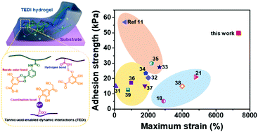 Graphical abstract: Design of ultra-stretchable, highly adhesive and self-healable hydrogels via tannic acid-enabled dynamic interactions