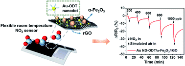Graphical abstract: Ligand-assisted deposition of ultra-small Au nanodots on Fe2O3/reduced graphene oxide for flexible gas sensors