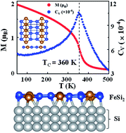 Graphical abstract: FeSi2: a two-dimensional ferromagnet containing planar hexacoordinate Fe atoms