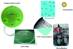 Graphical abstract: Advances in biopolymeric active films incorporated with emulsified lipophilic compounds: a review