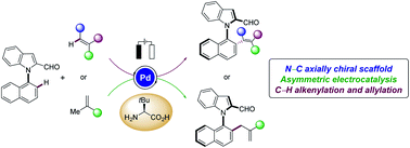 Graphical abstract: Enantioselective palladaelectro-catalyzed C–H olefinations and allylations for N–C axial chirality