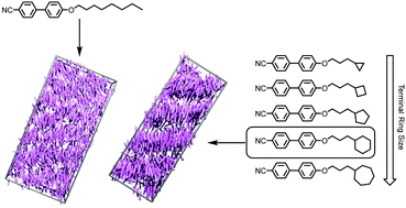 Graphical abstract: Engineering mesophase stability and structure via incorporation of cyclic terminal groups