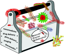 Graphical abstract: Molecular polymer bottlebrushes in nanomedicine: therapeutic and diagnostic applications