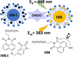 Graphical abstract: Selective detection of peroxynitrite using an isatin receptor and a naphthalimide fluorophore