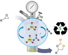 Graphical abstract: Molybdate ionic liquids as halide-free catalysts for CO2 fixation into epoxides