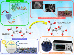 Graphical abstract: Selective oxidation of biomass-derived carbohydrate monomers