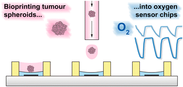 Graphical abstract: Bioprinting-based automated deposition of single cancer cell spheroids into oxygen sensor microelectrode wells