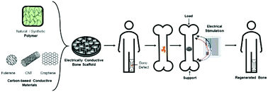 Graphical abstract: Carbon-based electrically conductive materials for bone repair and regeneration