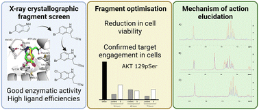 Graphical abstract: A fragment-based approach leading to the discovery of inhibitors of CK2α with a novel mechanism of action