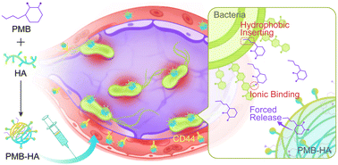 Graphical abstract: An inflammation-targeted nanoparticle with bacteria forced release of polymyxin B for pneumonia therapy