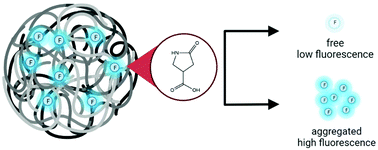 Graphical abstract: Unconventional aliphatic fluorophores discovered as the luminescence origin in citric acid–urea carbon dots