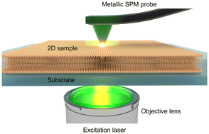 Graphical abstract: Nanoscale chemical analysis of 2D molecular materials using tip-enhanced Raman spectroscopy