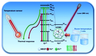 Graphical abstract: Lanthanide-doped bismuth-based nanophosphors for ratiometric upconversion optical thermometry