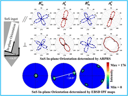 Graphical abstract: Revealing the anisotropic phonon behaviours of layered SnS by angle/temperature-dependent Raman spectroscopy