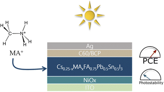 Graphical abstract: The role of A-site composition in the photostability of tin–lead perovskite solar cells