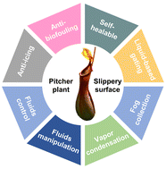 Graphical abstract: Fluid manipulation via multifunctional lubricant infused slippery surfaces: principle, design and applications