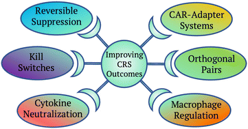 Graphical abstract: Emerging approaches for preventing cytokine release syndrome in CAR-T cell therapy