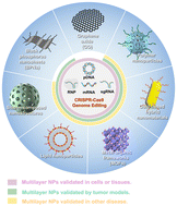 Graphical abstract: Synthetic nanoparticles for the delivery of CRISPR/Cas9 gene editing system: classification and biomedical applications