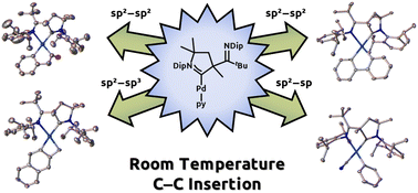 Graphical abstract: Swift C–C bond insertion by a 12-electron palladium(0) surrogate