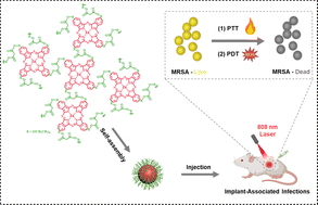 Graphical abstract: Hyperbranched polyphthalocyanine micelles with dual PTT/PDT functions for bacteria eradication under an NIR window