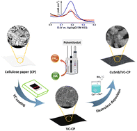 Graphical abstract: Tailoring cellulose paper via electroless CuSnB deposition for selective electrochemical detection of dopamine