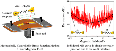 Graphical abstract: Magnetoresistance originated from the Au/S interface in Au/1,6-hexanedithiol/Au single-molecule junctions at room temperature