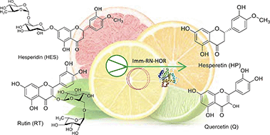 Graphical abstract: Flow bioprocessing of citrus glycosides for high-value aglycone preparation