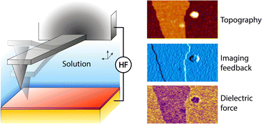 Graphical abstract: Nanoscale probing of local dielectric changes at the interface between solids and aqueous saline solutions