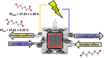 Graphical abstract: Selective electrosynthesis of platform chemicals from the electrocatalytic reforming of biomass-derived hexanediol