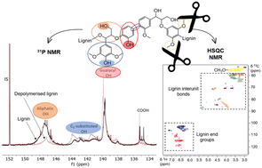 Graphical abstract: Selective demethylation reactions of biomass-derived aromatic ether polymers for bio-based lignin chemicals