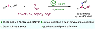 Graphical abstract: Synthesis of functionalized sulfilimines via iron-catalyzed sulfur alkylation of sulfenamides with diazo compounds