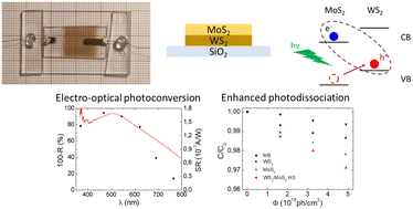 Graphical abstract: Large area van der Waals MoS2–WS2 heterostructures for visible-light energy conversion