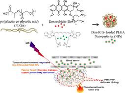 Graphical abstract: NIR-light-triggered delivery of doxorubicin-loaded PLGA nanoparticles for synergistic cancer therapy on DMBA/TPA induced tumor-bearing mice