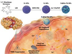 Graphical abstract: Dual-infinite coordination polymer-engineered nanomedicines for dual-ion interference-mediated oxidative stress-dependent tumor suppression