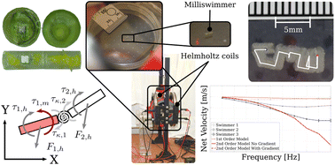 Graphical abstract: Buoyant magnetic milliswimmers reveal design rules for optimizing microswimmer performance